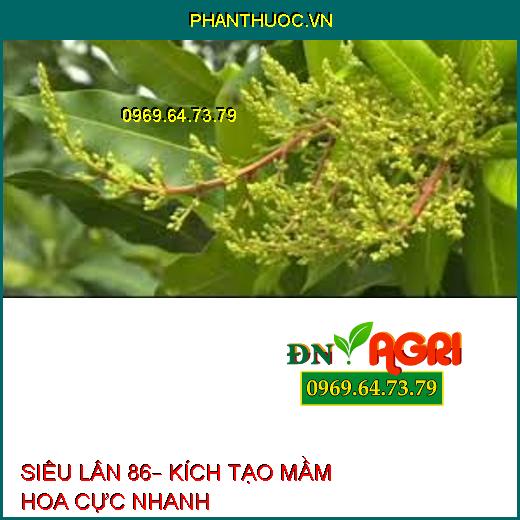 SIÊU LÂN 86– KÍCH TẠO MẦM HOA CỰC NHANH