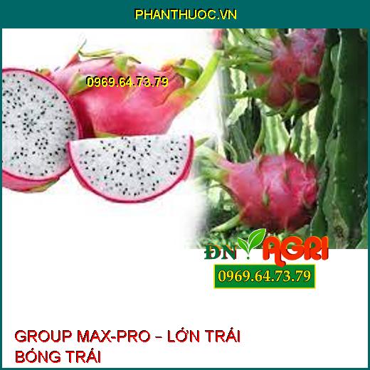 GROUP MAX-PRO – LỚN TRÁI BÓNG TRÁI