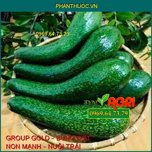 GROUP GOLD – BUNG ĐỌT NON MẠNH – NUÔI TRÁI