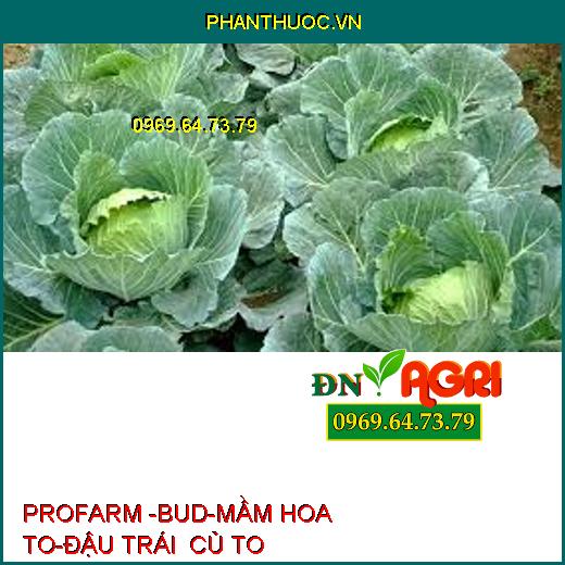 PROFARM -BUD-MẦM HOA TO-ĐẬU TRÁI CỦ TO