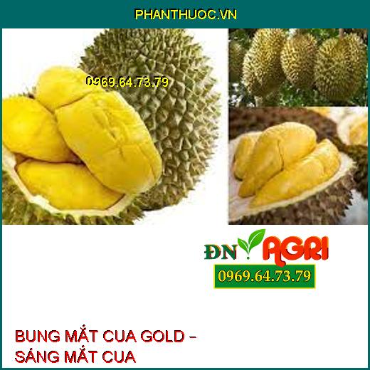 BUNG MẮT CUA GOLD – SÁNG MẮT CUA