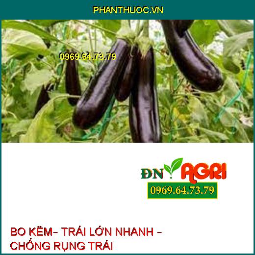 BO KẼM– TRÁI LỚN NHANH – CHỐNG RỤNG TRÁI