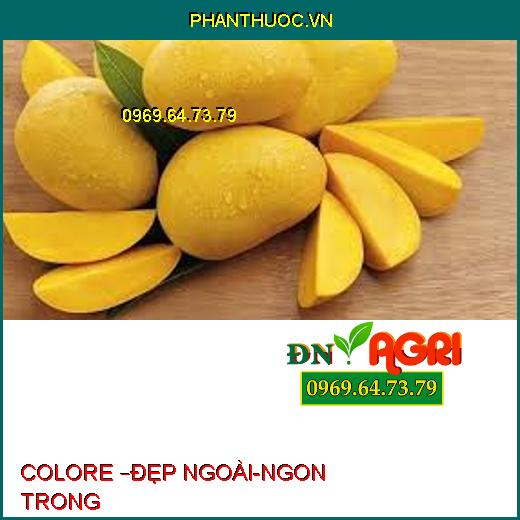 COLORE –ĐẸP NGOÀI-NGON TRONG