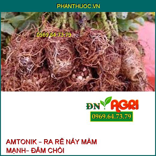 AMTONIK – RA RỄ NẨY MẦM MẠNH– ĐÂM CHỒI