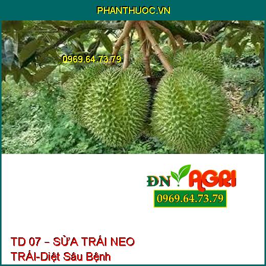 TD 07 – SỬA TRÁI NEO TRÁI-Diệt Sâu Bệnh