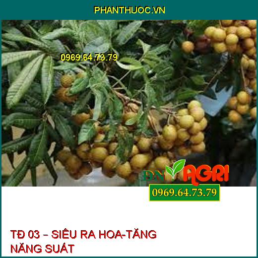 TĐ 03 – SIÊU RA HOA-TĂNG NĂNG SUẤT