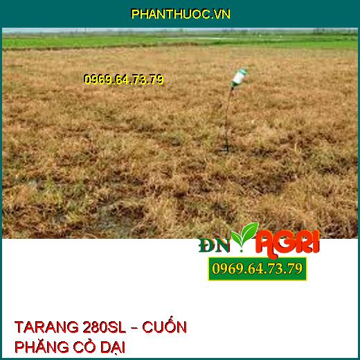 TARANG 280SL – CUỐN PHĂNG CỎ DẠI