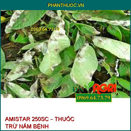 AMISTAR 250SC – THUỐC TRỪ NẤM BỆNH