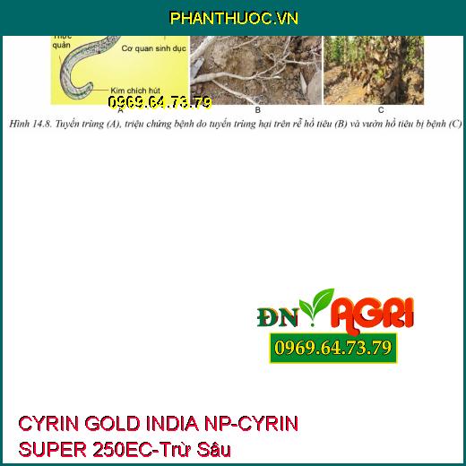 CYRIN GOLD INDIA NP-CYRIN SUPER 250EC- Trừ Sâu, Tuyến Trùng, Sùng Đất