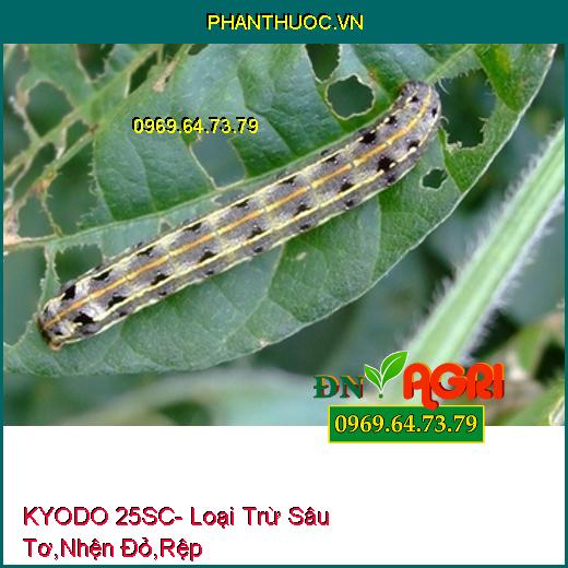 KYODO 25SC- Loại Trừ Sâu Tơ, Nhện Đỏ, Rệp, Sâu Xanh, Bọ Phấn