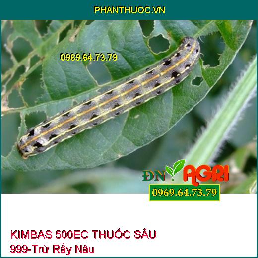 KIMBAS 500EC THUỐC SÂU 999- Trừ Rầy Nâu, Rệp Sáp, Rầy Xanh, Nhện Đỏ, Dòi Đục