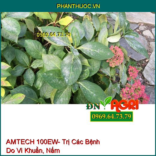 AMTECH 100EW- Đặc Trị Các Bệnh Do Vi Khuẩn, Nấm