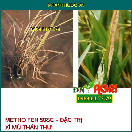 METHO FEN 50SC – ĐẶC TRỊ XÌ MỦ THÁN THƯ