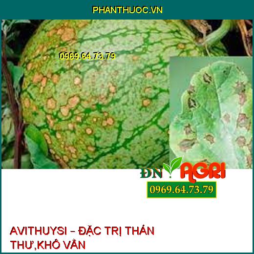 AVITHUYSI – ĐẶC TRỊ THÁN THƯ,KHÔ VẰN