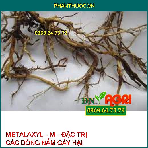 METALAXYL – M – ĐẶC TRỊ CÁC DÒNG NẤM GÂY HẠI