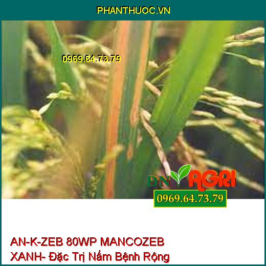 AN-K-ZEB 80WP MANCOZEB XANH- Đặc Trị Nấm Bệnh Phổ Rộng