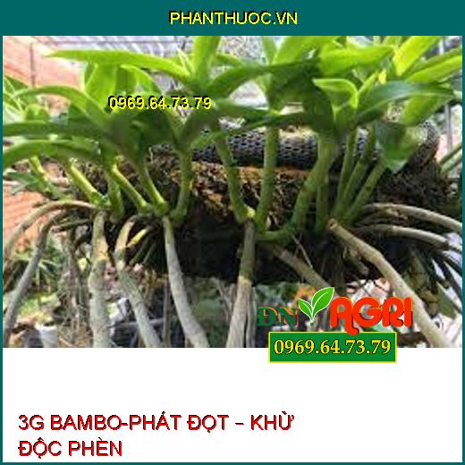 3G BAMBO-PHÁT ĐỌT – KHỬ ĐỘC PHÈN