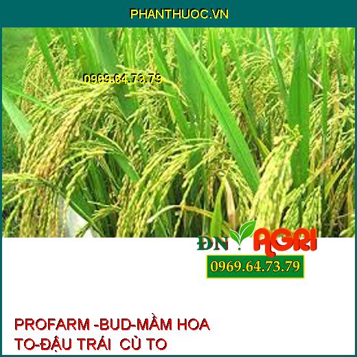 PROFARM -BUD-MẦM HOA TO-ĐẬU TRÁI CỦ TO