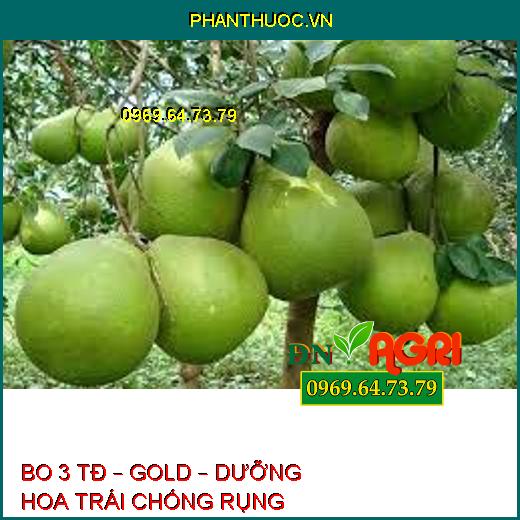 BO 3 TĐ – GOLD – DƯỠNG HOA TRÁI CHỐNG RỤNG