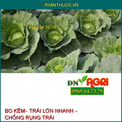 BO KẼM– TRÁI LỚN NHANH – CHỐNG RỤNG TRÁI