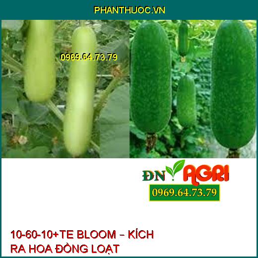 10-60-10+TE BLOOM – KÍCH RA HOA ĐỒNG LOẠT