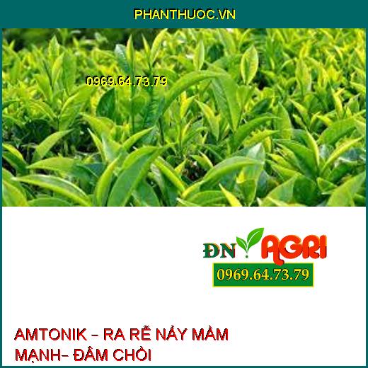 AMTONIK – RA RỄ NẨY MẦM MẠNH– ĐÂM CHỒI