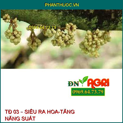 TĐ 03 – SIÊU RA HOA-TĂNG NĂNG SUẤT