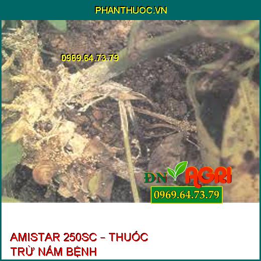 AMISTAR 250SC – THUỐC TRỪ NẤM BỆNH