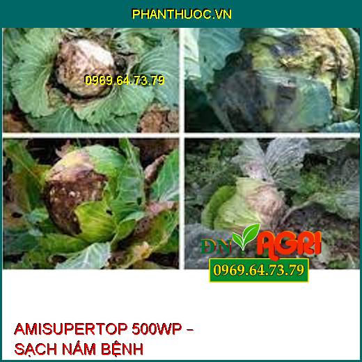 AMISUPERTOP 500WP – SẠCH NẤM BỆNH