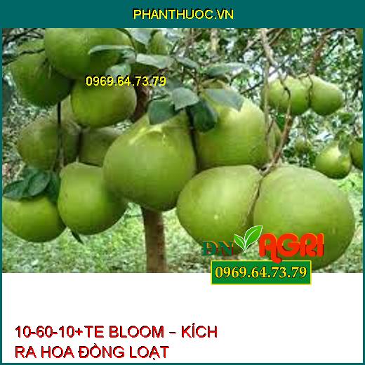 10-60-10+TE BLOOM – KÍCH RA HOA ĐỒNG LOẠT