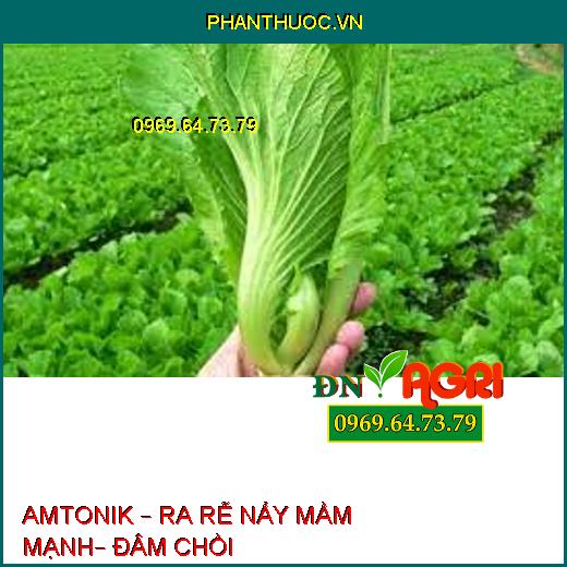 AMTONIK – RA RỄ NẨY MẦM MẠNH– ĐÂM CHỒI