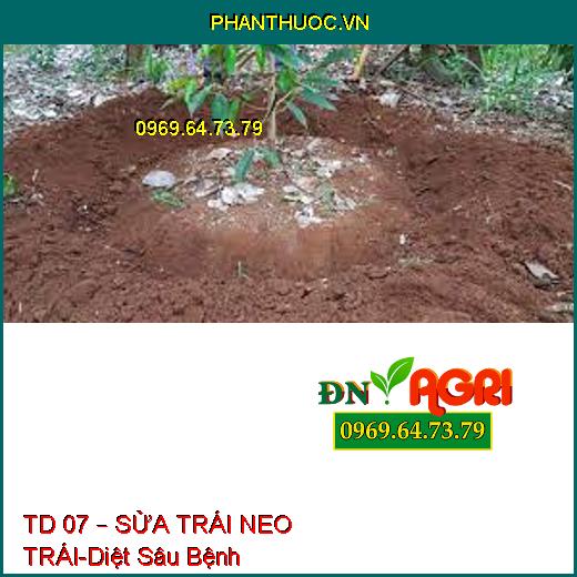 TD 07 – SỬA TRÁI NEO TRÁI-Diệt Sâu Bệnh