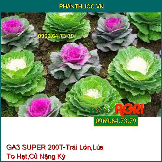 GA3 SUPER 200T- Kích Thích Sinh Trưởng, Trái Lớn Nhanh, Lúa To Hạt, Củ Nặng Ký