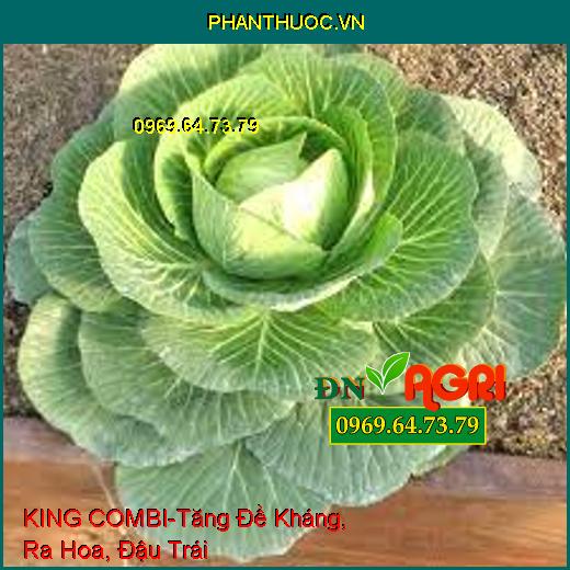 PHÂN BÓN TRUNG VI LƯỢNG KING COMBI-Tăng Đề Kháng, Giải Độc, Ra Hoa, Đậu Trái