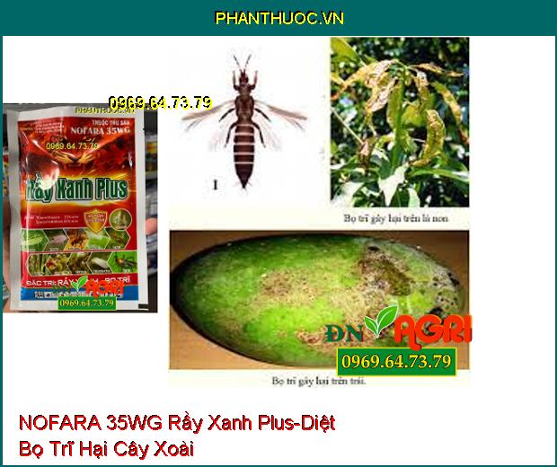 THUỐC TRỪ SÂU NOFARA 35WG Rầy Xanh Plus- Diệt Côn Trùng, Bọ Trĩ Trên Lúa