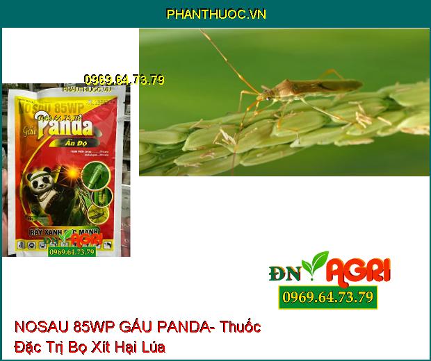 NOSAU 85WP GẤU PANDA- Thuốc Đặc Trị Rầy Xanh Cực Mạnh, Sâu Cuốn Lá