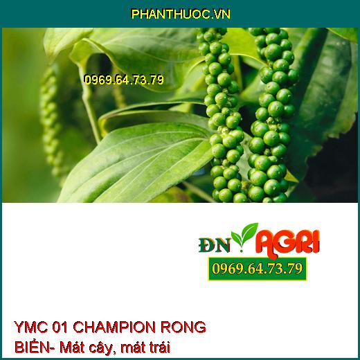 YMC 01 CHAMPION RONG BIỂN- Mát Cây, Dưỡng Hoa, Tăng Năng Suất