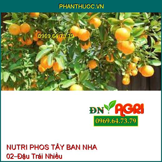 NUTRI PHOS TÂY BAN NHA 02 –Hạn Chế Đen Bông,Đậu Trái Nhiều