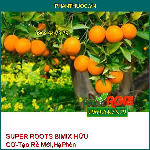 SUPER ROOTS BIMIX HỮU CƠ –Tái Tạo Rễ Mới, Hạ Phèn, Chữa Bệnh Vàng Lá