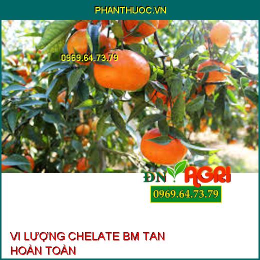 VI LƯỢNG CHELATE BM TAN HOÀN TOÀN-Phục Hồi Cây, Giảm Rụng Lá, Rụng Trái Non