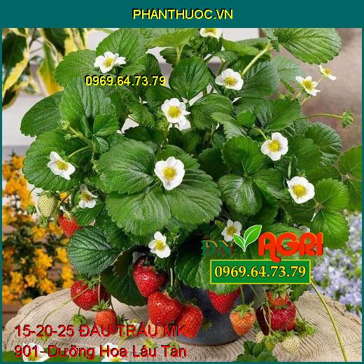 PHÂN BÓN LÁ NPK 15-20-25 ĐẦU TRÂU MK 901 –Dưỡng Hoa Lâu Tàn, Trừ Sâu Bệnh