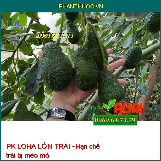 PK LOHA LỚN TRÁI – Phân Bón Hỗn Hợp Chuyên Dùng Cho Bơ