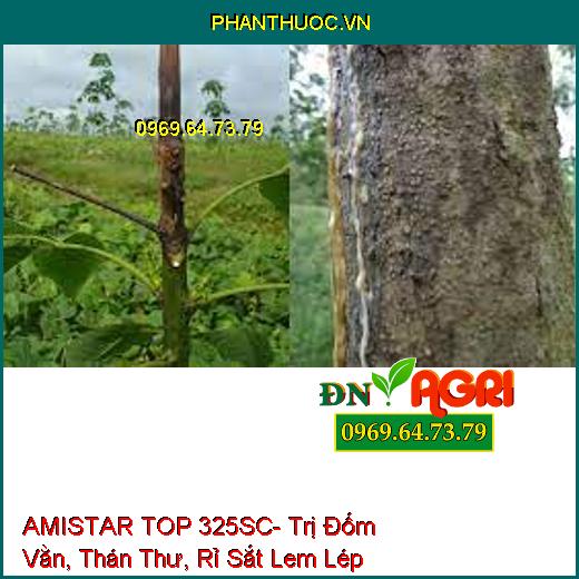 AMISTAR TOP 325SC- Trị Đốm Vằn, Thán Thư, Rỉ Sắt Lem Lép Hạt