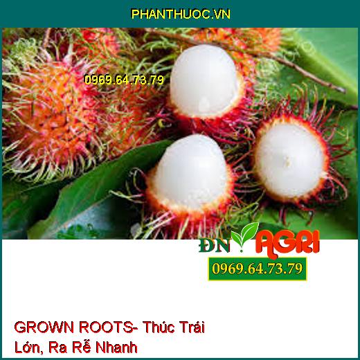 GROWN ROOTS- Thúc Trái Lớn, Ra Rễ Nhanh, Bung Đọt, Cải Tạo Đất