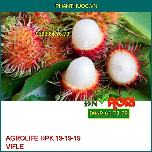 AGROLIFE NPK 19-19-19 VIFLE- Dưỡng Hoa, Nuôi Quả, Tăng Năng Xuất