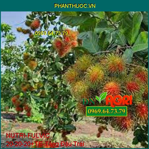 PHÂN BÓN HỖN HỢP NUTRI – FULVIC 20-20-20 + TE –Tăng Đậu Trái, Phục Hồi Cây