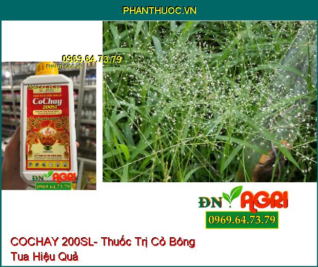 COCHAY 200SL- Thuốc Trị Cỏ Tranh, Lồng Vực, Mầm Trầu, Dền Gai, Rau Sam, Mắc Cỡ