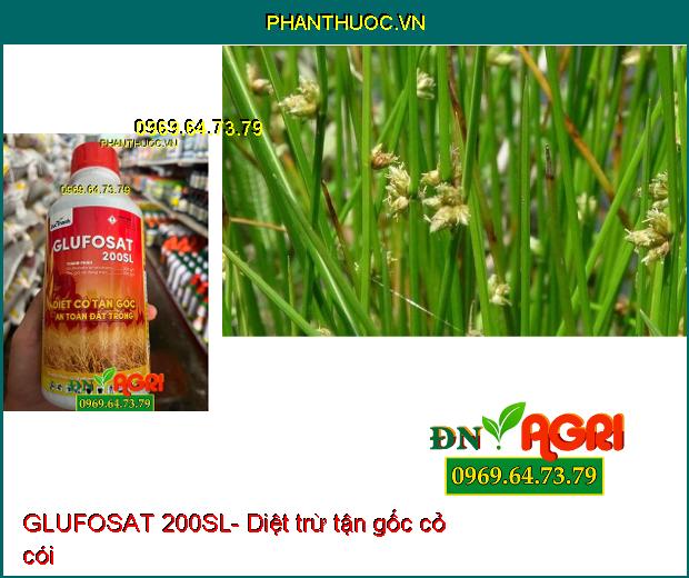 GLUFOSAT 200SL- Diệt Được Nhiều Loại Cỏ, Cỏ Lá Rộng, Cỏ Kháng Thuốc