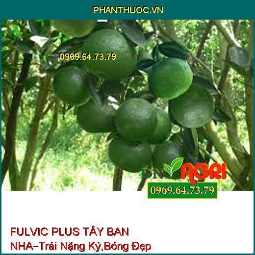 FULVIC PLUS TÂY BAN NHA –Hạn Chế Rong Rêu Trên Lá, Trái Nặng Ký, Bóng Đẹp