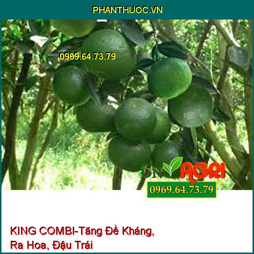 PHÂN BÓN TRUNG VI LƯỢNG KING COMBI-Tăng Đề Kháng, Giải Độc, Ra Hoa, Đậu Trái